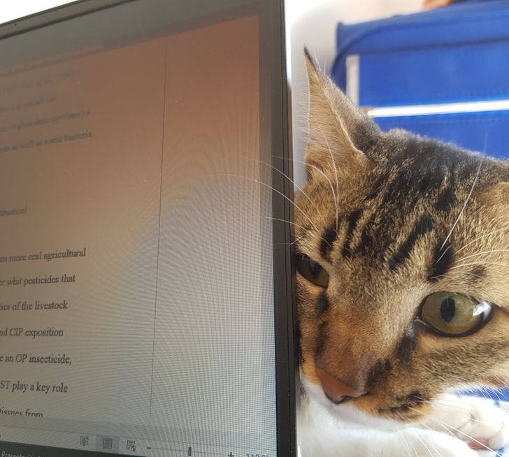 ebcdf05458925910292d558008