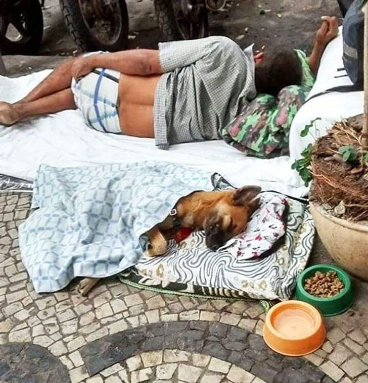 ebd79656f8acd1d67fda0669f7