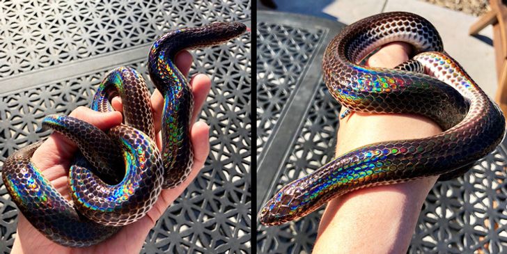 ebd8de519db19527e4c0c4e8f9