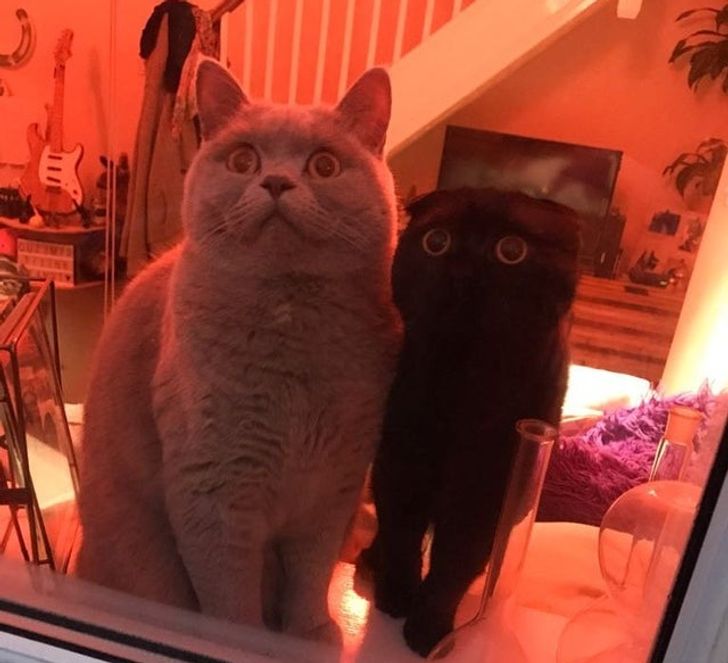 ebdc96545e8c2212a720321b34