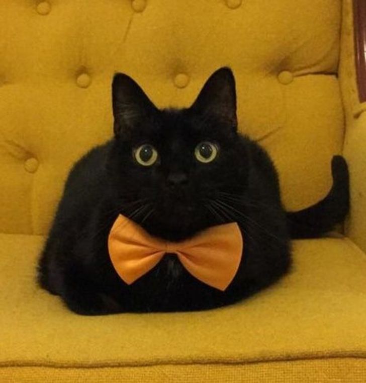 ebe1ff58a5af78f6e76ae8152b