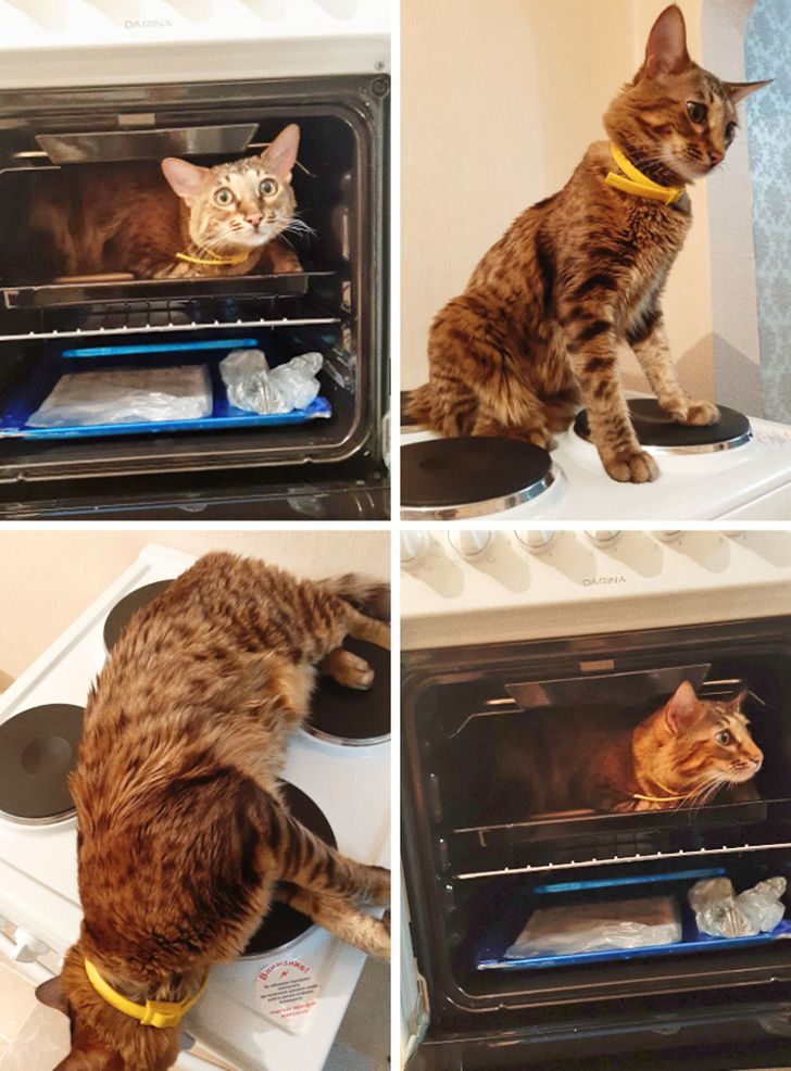 ebe8e25ec59361f949bcd010ed