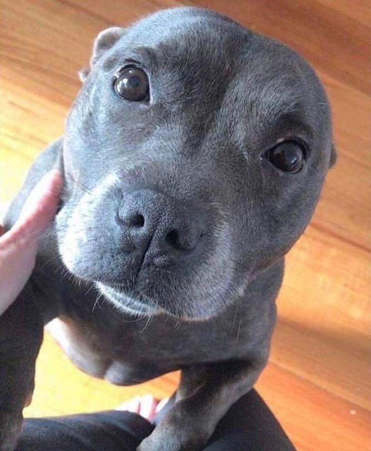 ebecbf59cf8ffec062ba4f5dc1