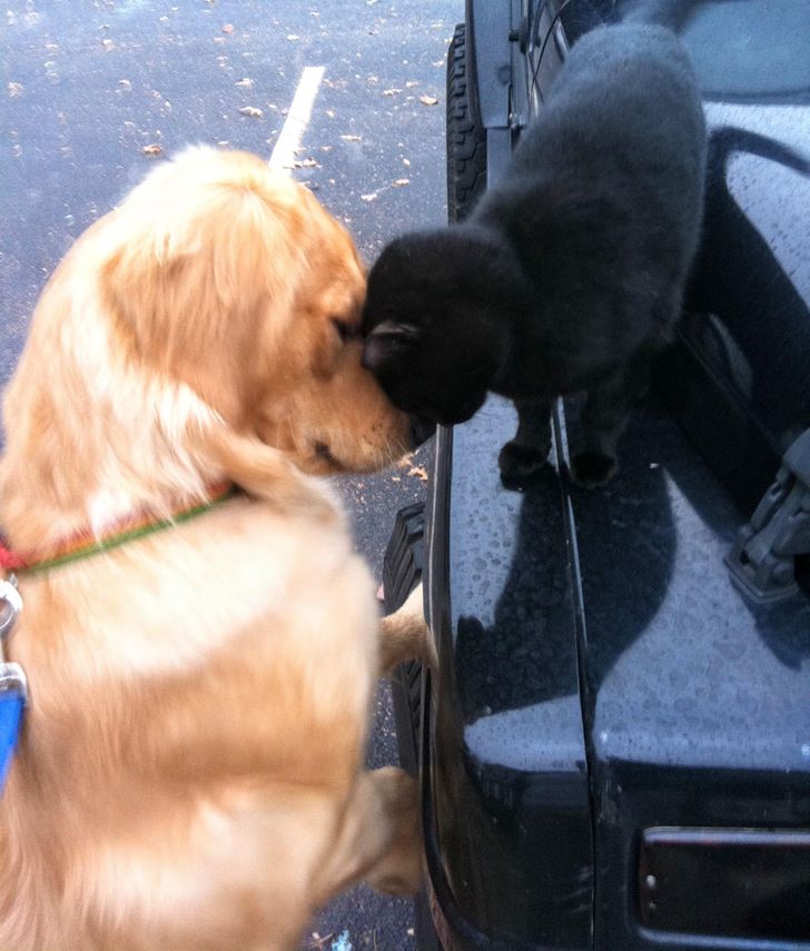 ebf1b05208a27db050e31acf2f