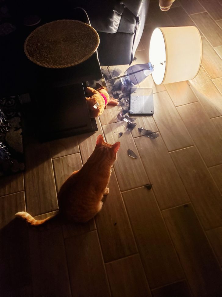 ebfc135e3891ed79aa433b8133