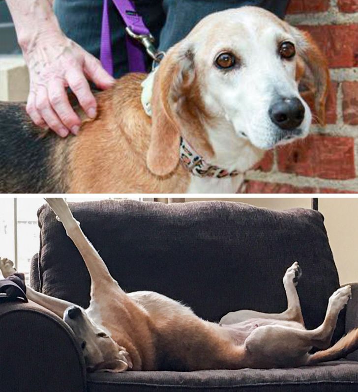 ebfee152be979a4920d786f698