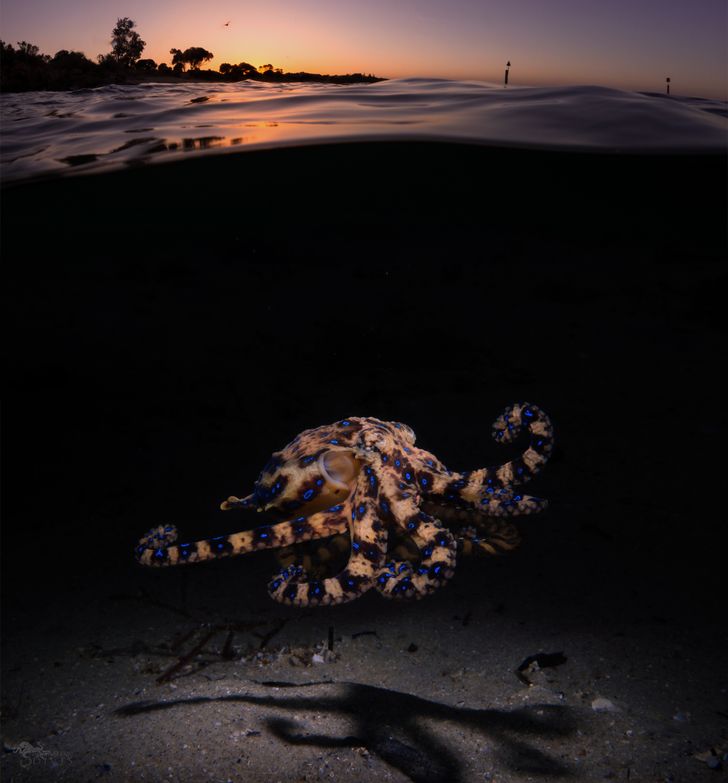 ec02cd5797b4fa9963c6044d9d