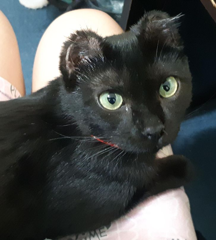 ec074651d29d2b9f701f2e1dd5