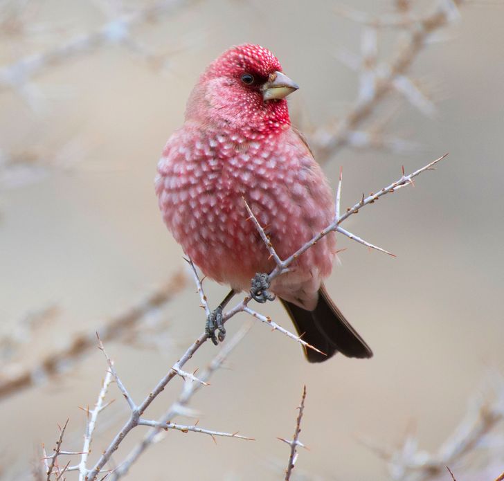 ec08c5568099c014e8615d1680