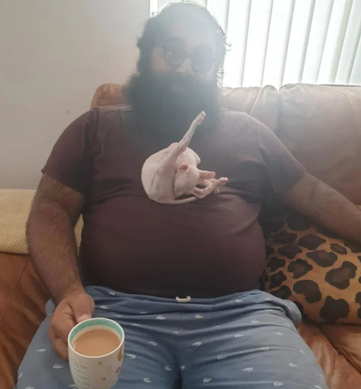 ec0d095a1aa68eae31da7e5997