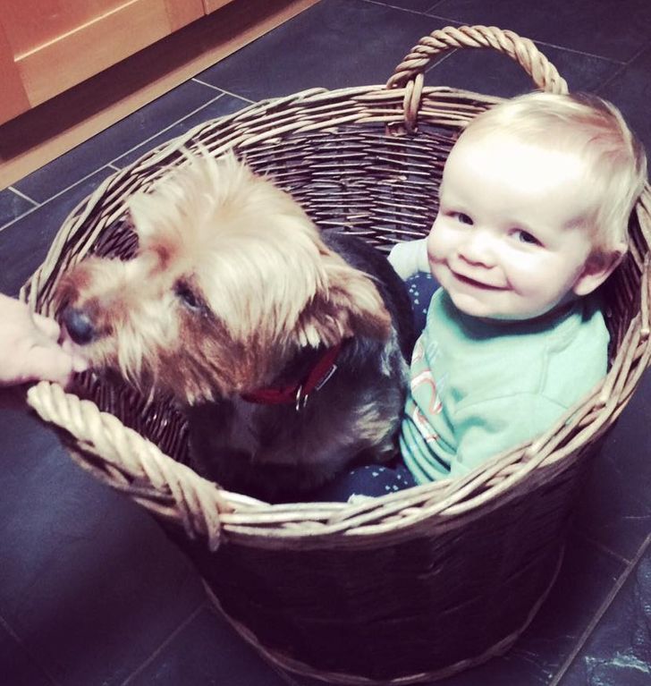 ec0f5a56b8a76d89014f18fd22