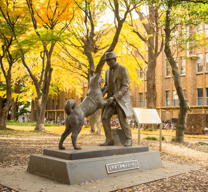 ec174851d797f2596d3ae50cf2