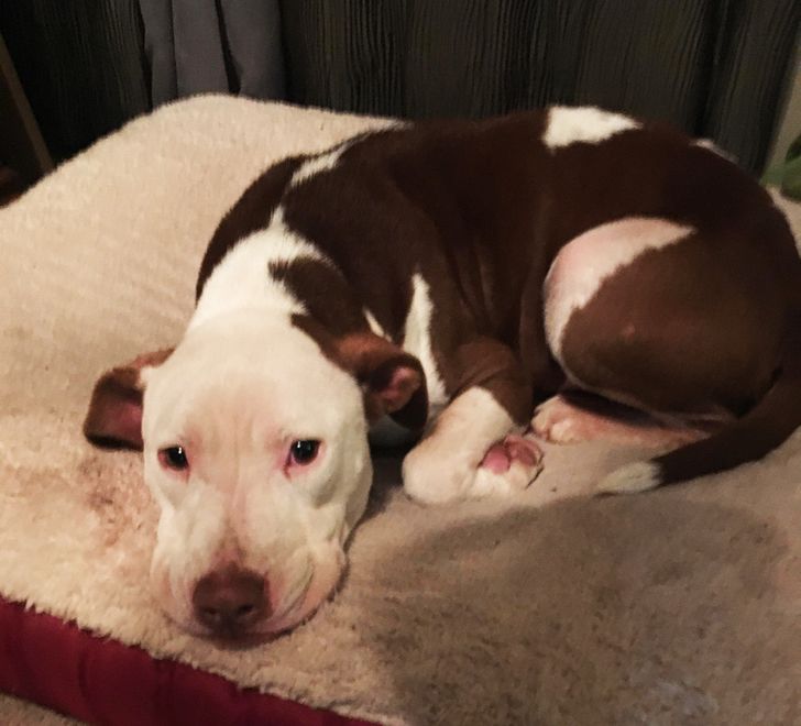 ec1bc95b02a9c3a317b57a25c1