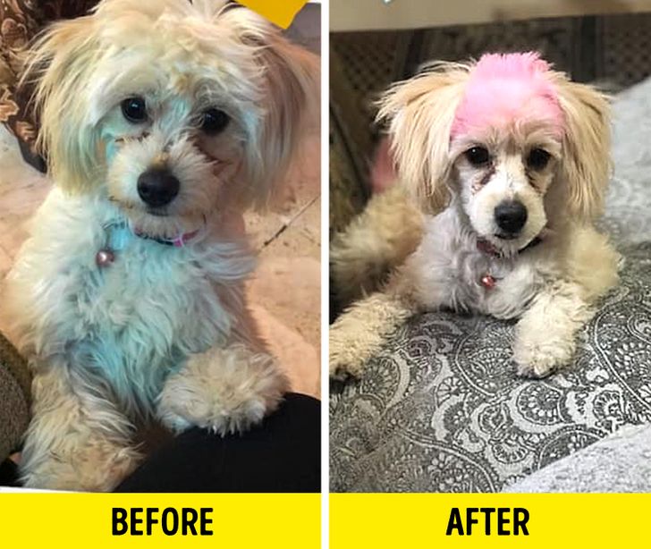 ec23f456c38fc9ab5f821b1e42