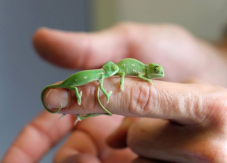 ec2c2255ce8daa458d7c6d6efd