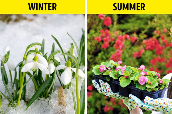 ec2d295dad8ce5b44468833d62