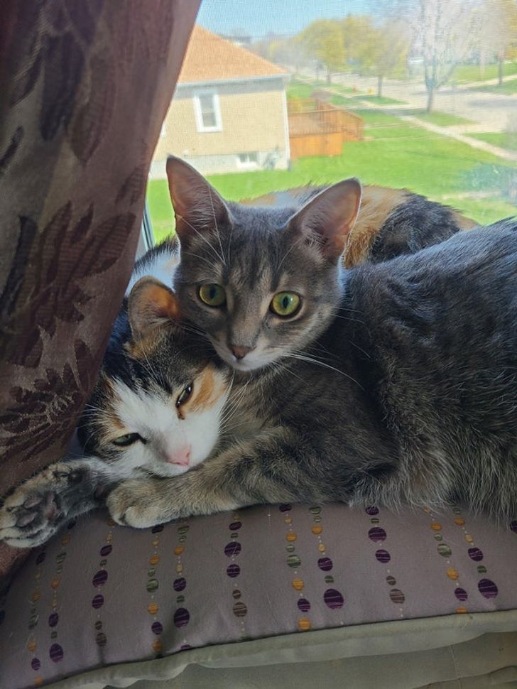 ec2f4e5b6c80514bb05f4c5422