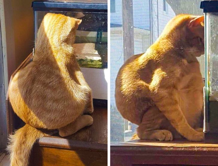 ec2f5253d187667063ef3184e2