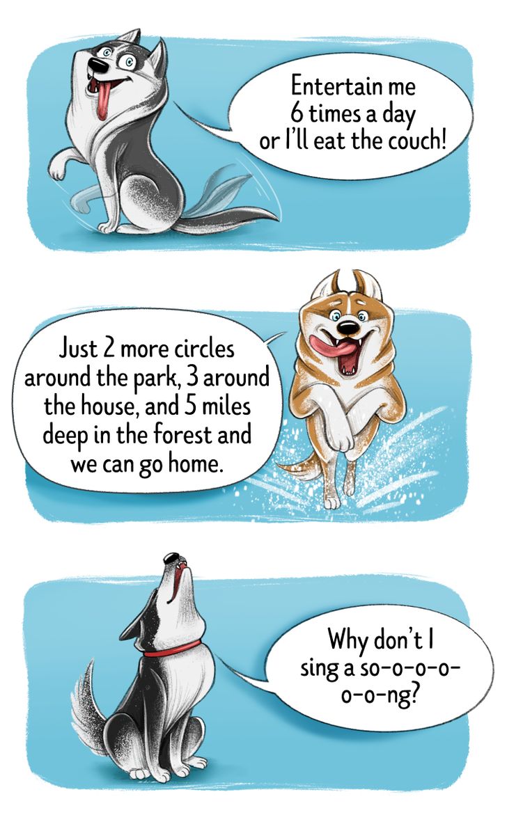 ec324d5e668d267d3b8e2e7d15 ec324d5e668d267d3b8e2e7d15