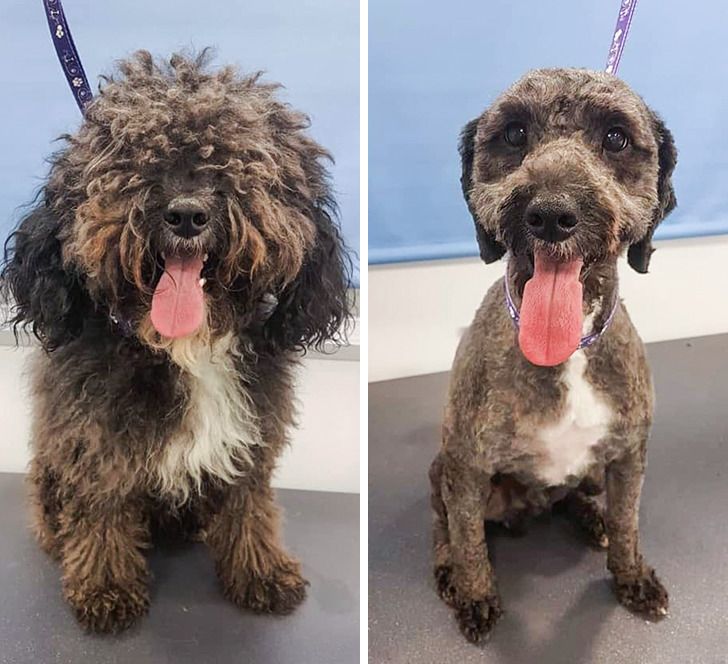 ec32505c588201182ef7ee3946