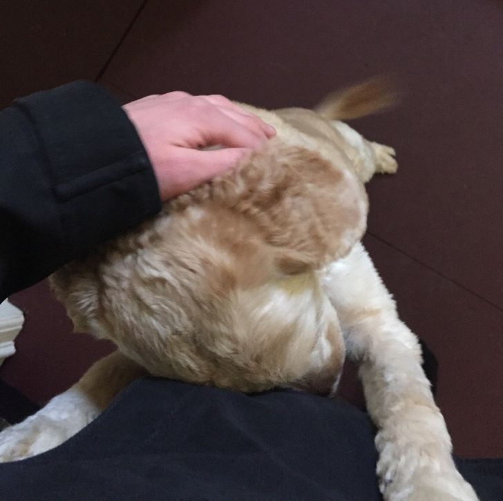 ec332953e08e1cc5b4bb170320