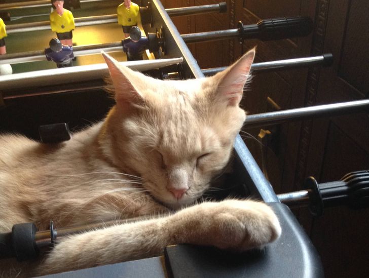 ec36555d47b62f79fc88cc2829