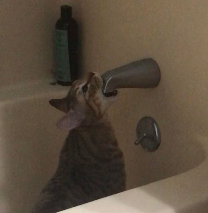 ec3a355f62bedceb3767f64d57