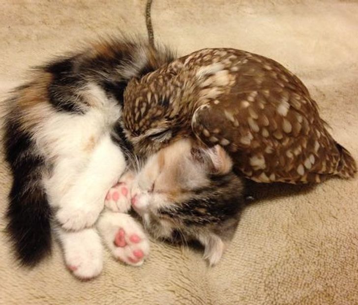 ec3b725c058e4651d068e0b78a