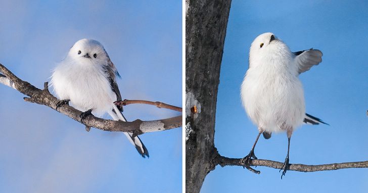 ec48945b84b3c98530815aeb14