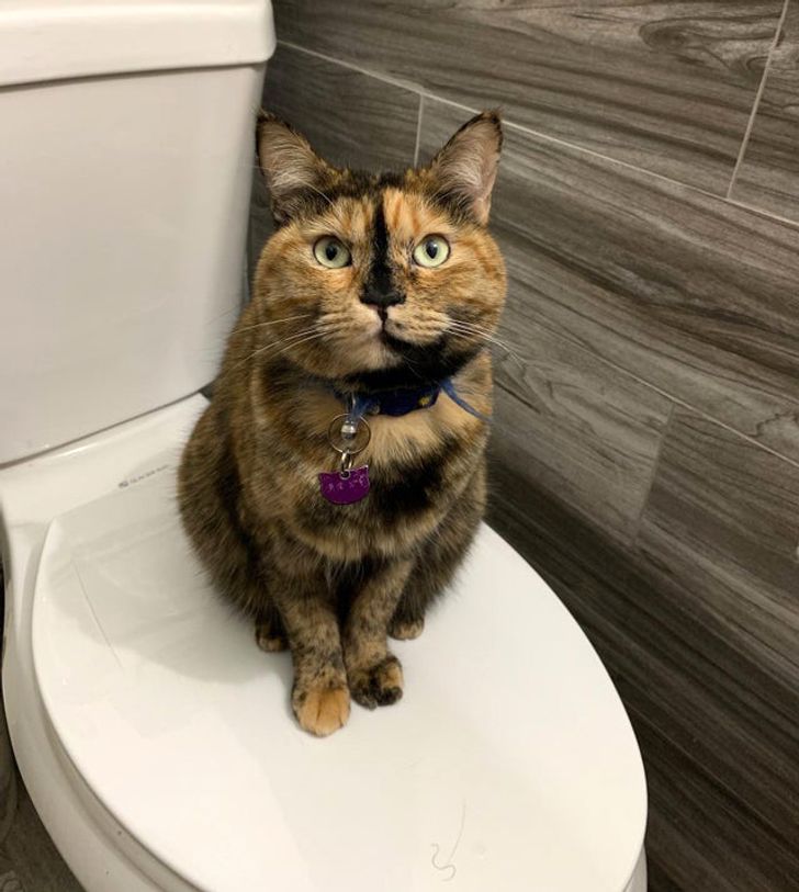 ec4cc75bdfb0f857643896c2e2