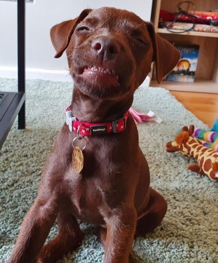 ec590252b39152d6e86dbb042a