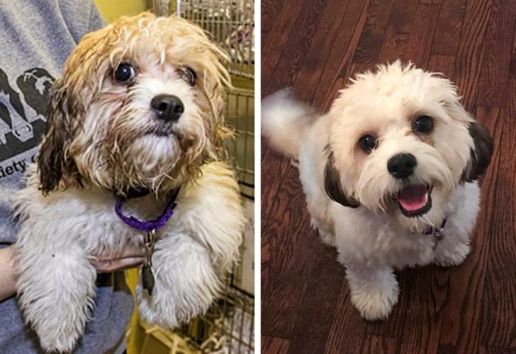 ec5aee5b7b852123e6847140a3