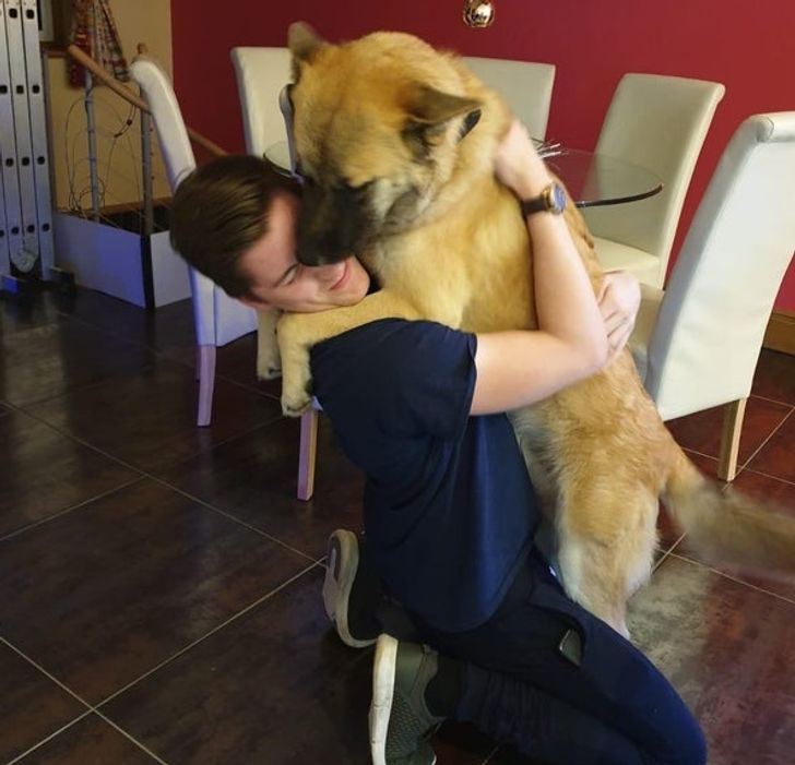 ec5ffb509190203c314a0eceb6