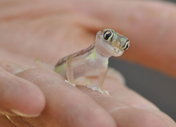 ec605e569ea57824badac4325a