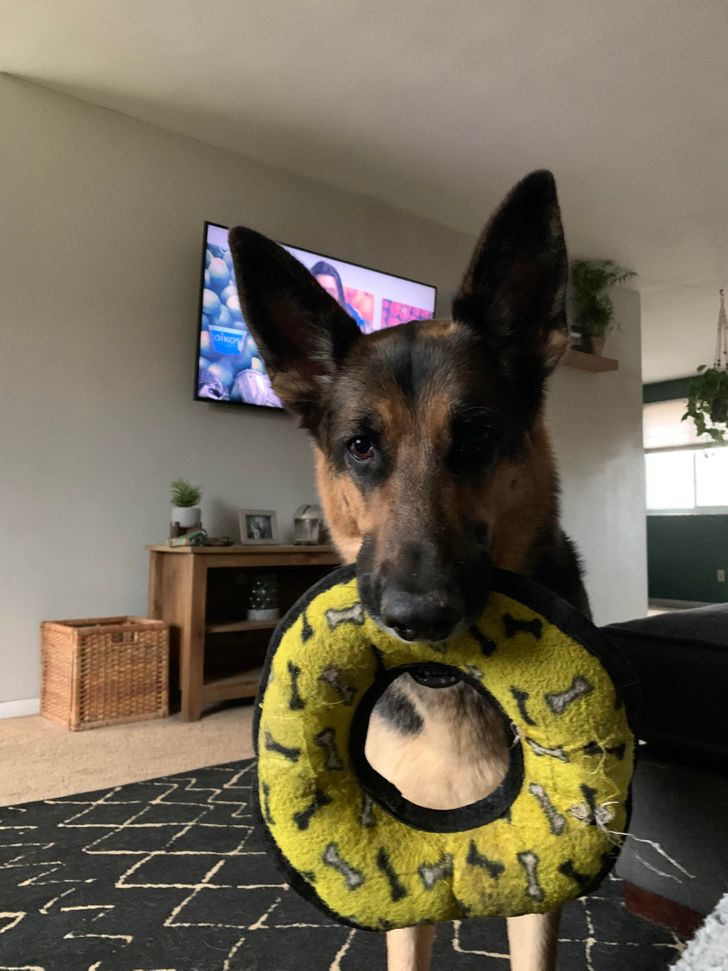 ec625c5dca8b6d447af38e3650