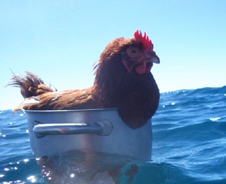 ec642558a080b77fa28a597048