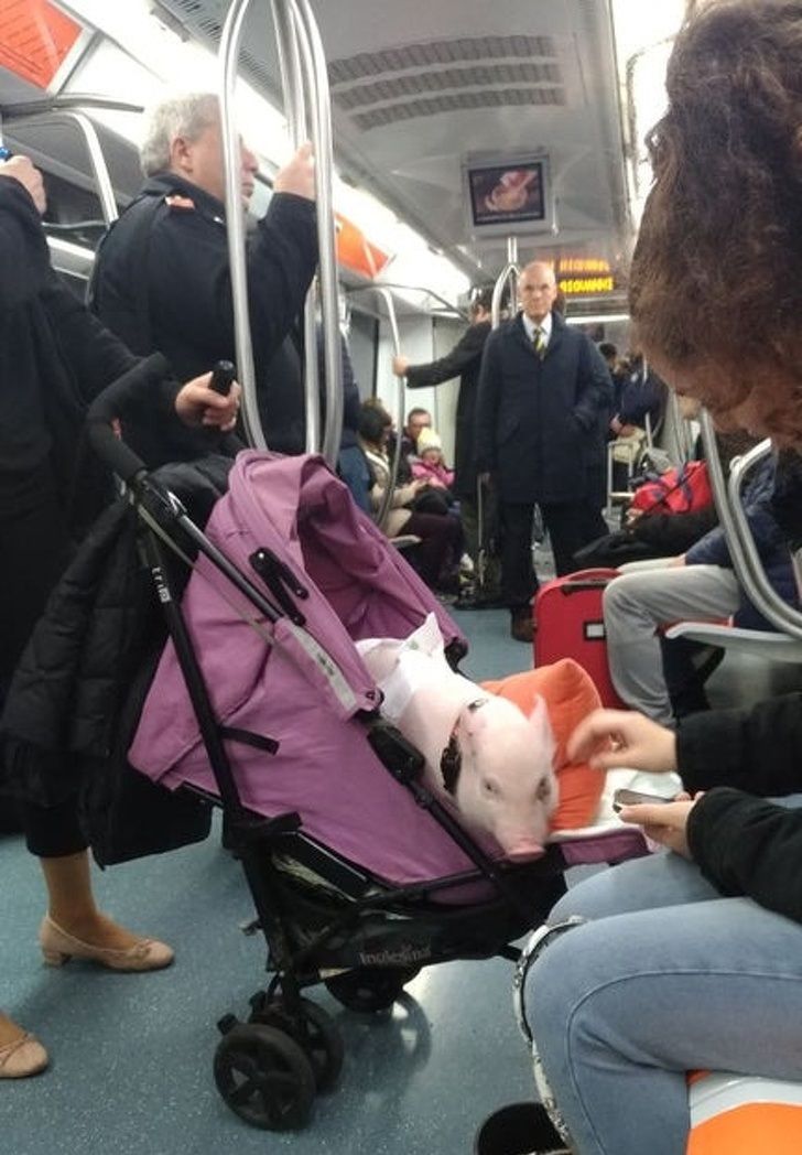 ec70255dc094186fa927047421