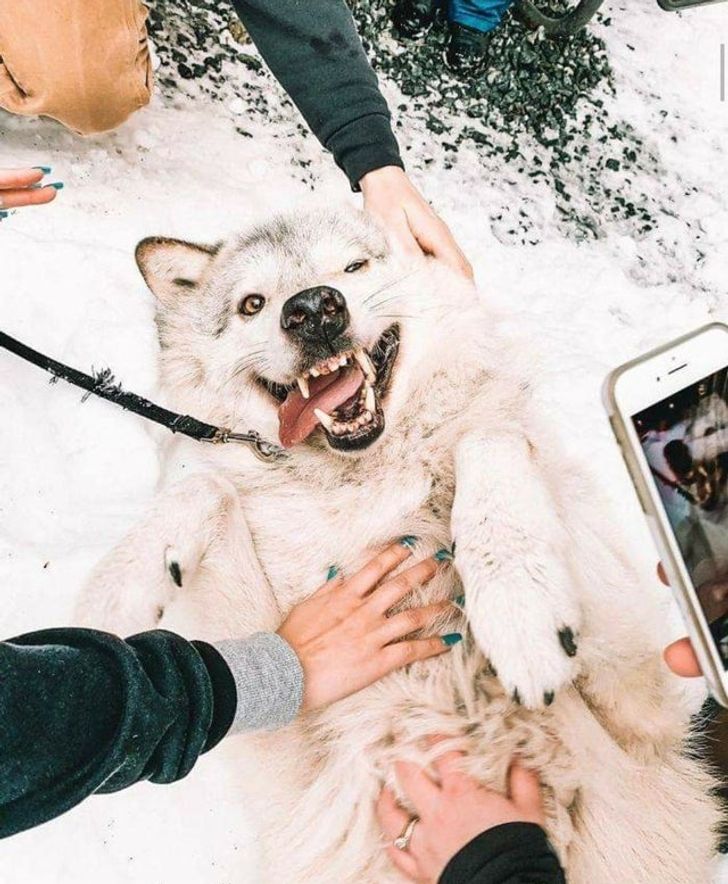 ec77d8503fb3a971d5391af48f