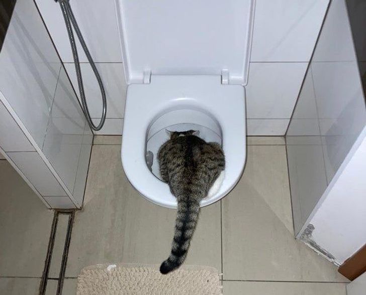 ec7b7b535b972819e61fd2166b