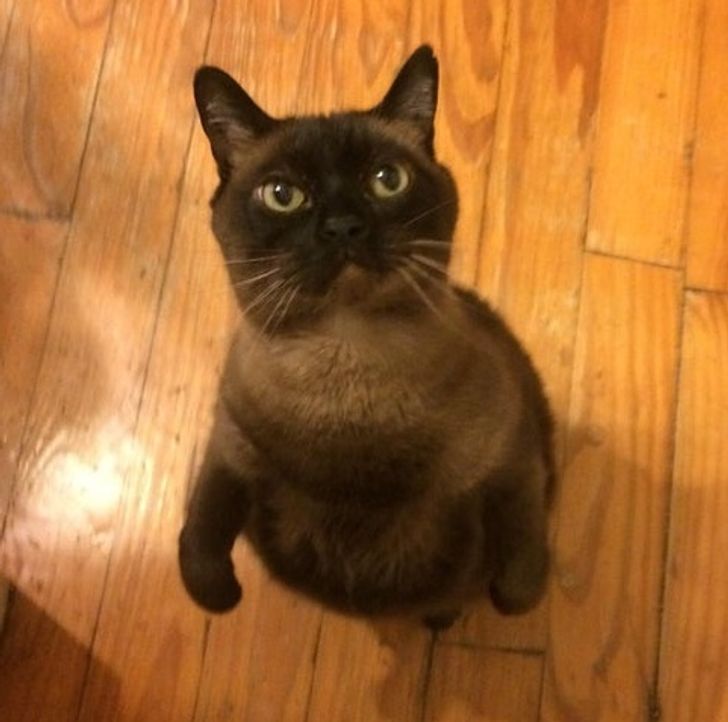 ec7ec5567d98bfcc0578481834