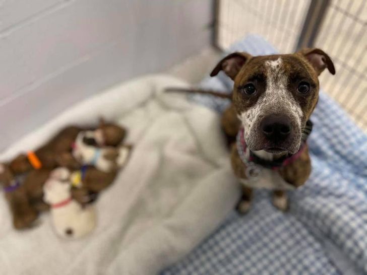 ec84e35d9181ff9161eef147f6