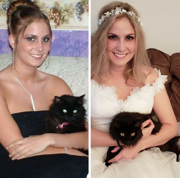 ec88295d11a8854807564950e8