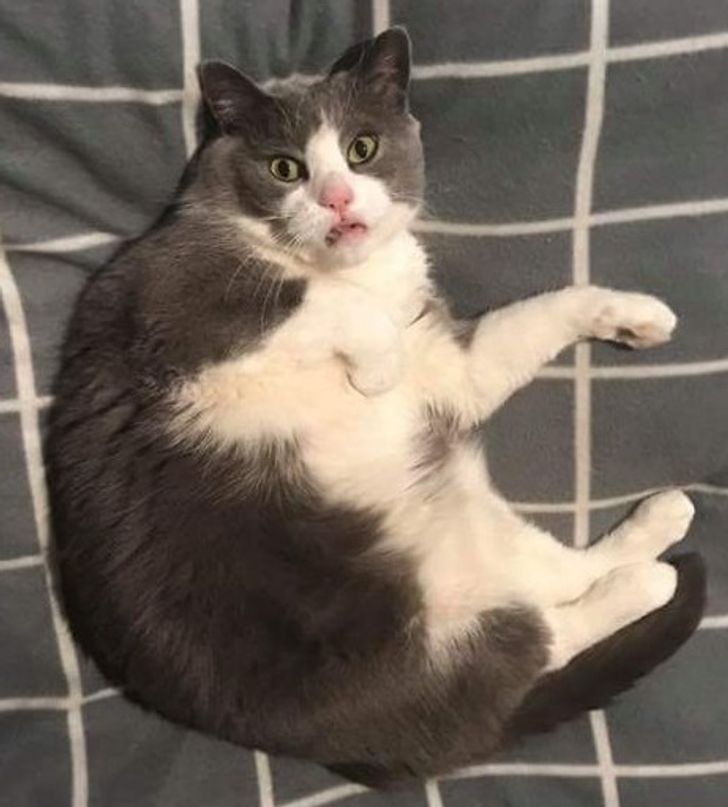 ec92ee5e1eb0707dd322244d49