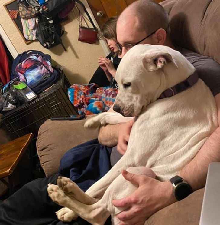 ec98ee592db889330160551cfc