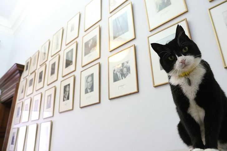 eca2865e14b6523f373abb1f6c