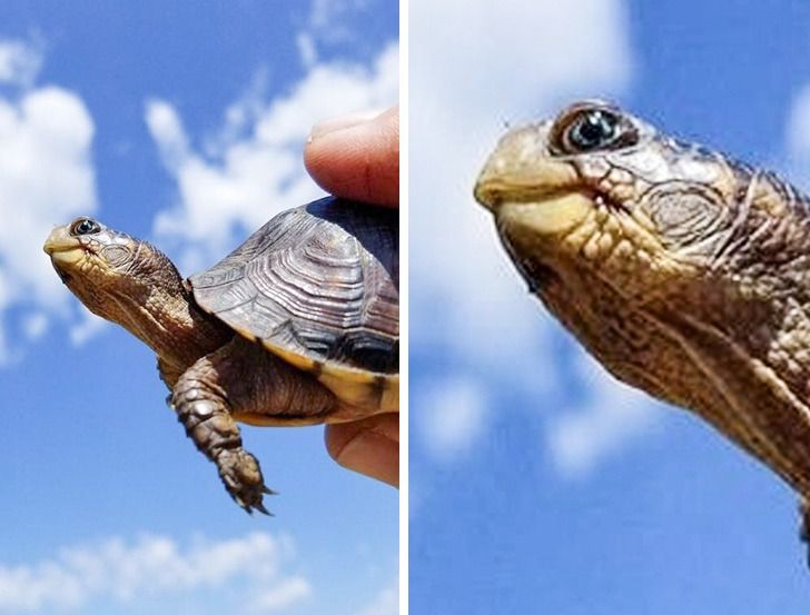 ecbce1505a93a768cd405898ac