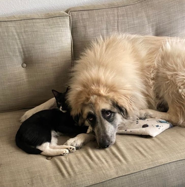 ecbdaf5f6f9df9b02eac6b9fee