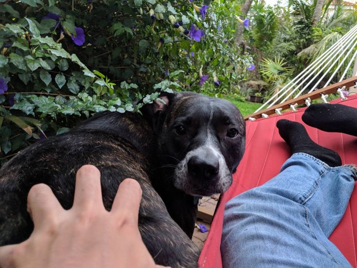 ecbebb568fbd40a5809c26aea3