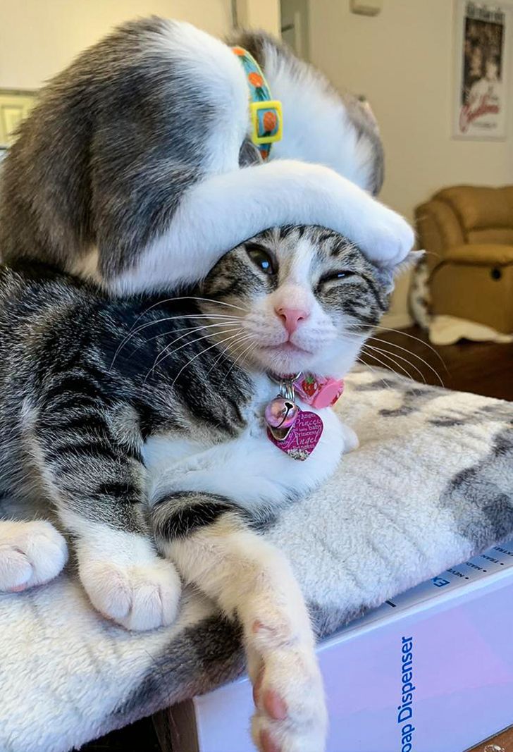 ecbf3f51dd822e8d2d2b6ec543 ecbf3f51dd822e8d2d2b6ec543