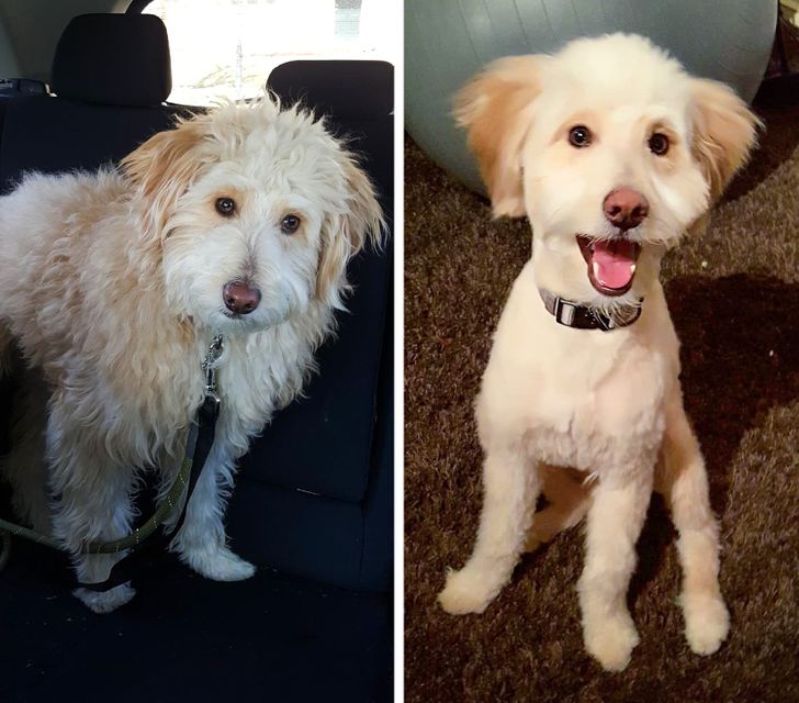 ecc24c5d48a8dcc095622fb431